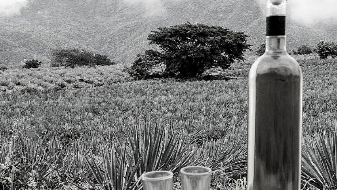 tequila galicia blog